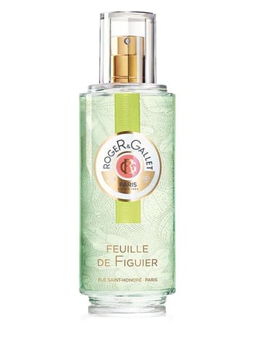 Feuille de Figuier
