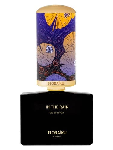 In The Rain - این د رین