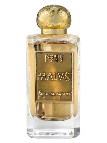 MALVS - مالوس