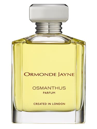 Osmanthus - اسمانتوس