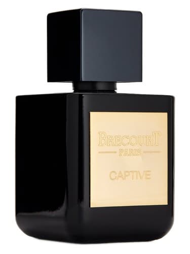 Captive - کپتیو