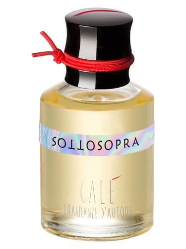 Sottosopra