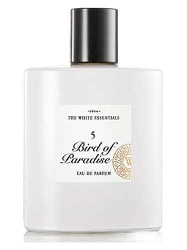 5 Bird Of Paradise - 5 پرنده بهشت