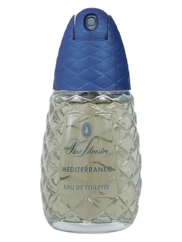 Pino Silvestre Mediterraneo - پینو سیلوستر مدیترانه