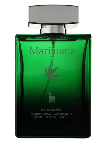 Marijuana - ماریجوانا
