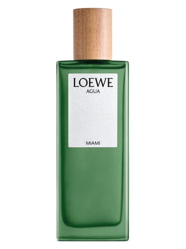 Agua Miami - آگوا میامی