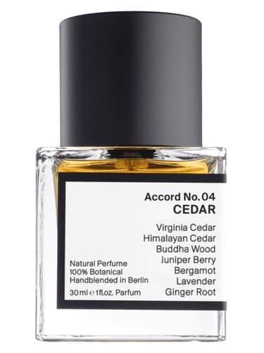 Accord No. 04: Cedar - آکورد شماره 04: سدر