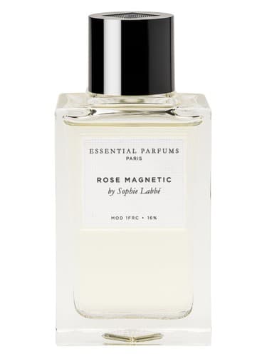 Rose Magnetic - رز مگنتیک