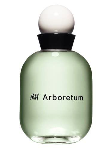 H&M Arboretum - درختکاری اچ اند ام