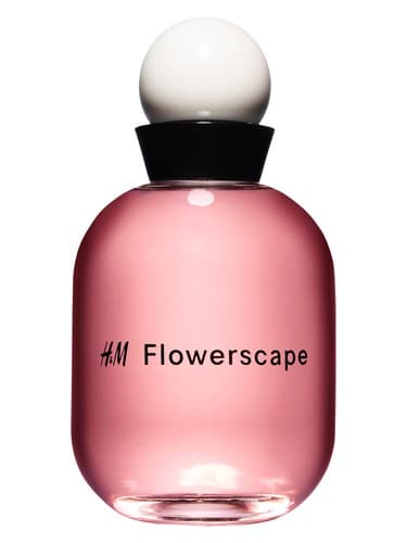 H&M Flowerscape 