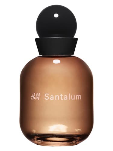 H&M Santalum - اچ اند ام سانتالوم