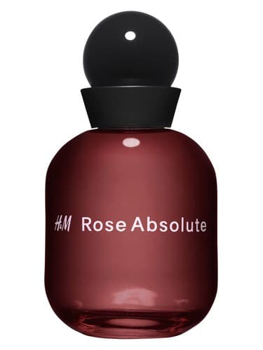 H&M Rose Absolute 
