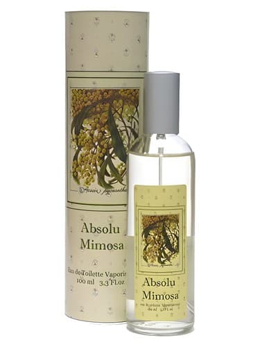 Absolu Mimosa - ابسولو میموزا