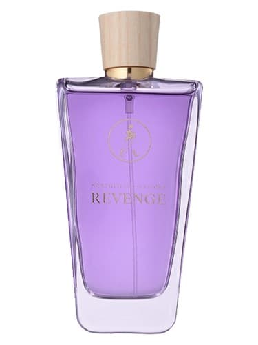 Revenge - انتقام