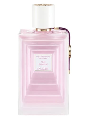Pink Paradise - پینک پارادایس