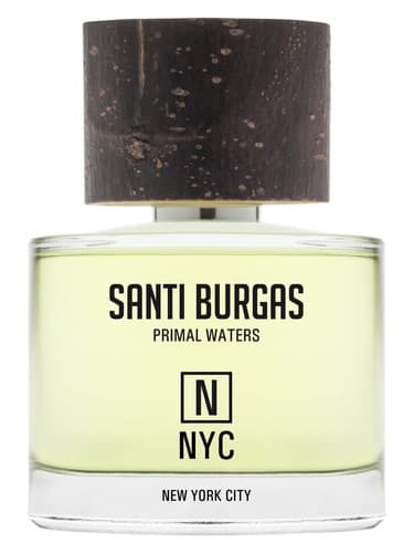 New York City - شهر نیویورک