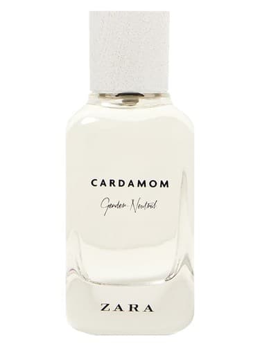 Cardamom - Gender Neutral - کارداموم جندر نوترال