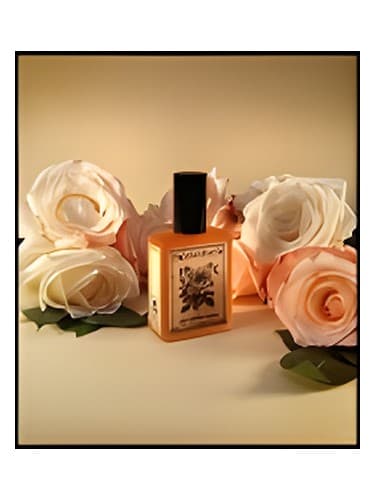 Rose Mallow Cream - رز مالو کریم