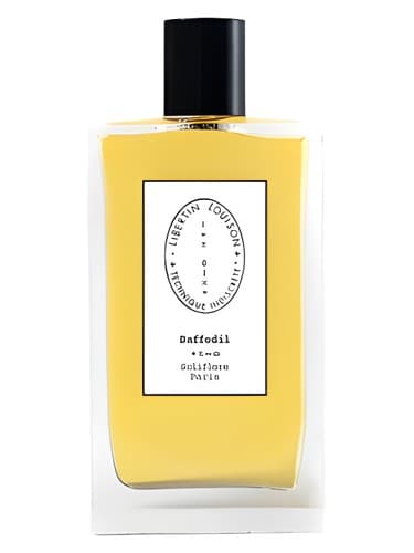 Daffodil