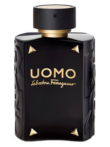 Uomo Salvatore Ferragamo Limited Edition  - اومو سالواتوره فراگامو لیمیتد ادیشن