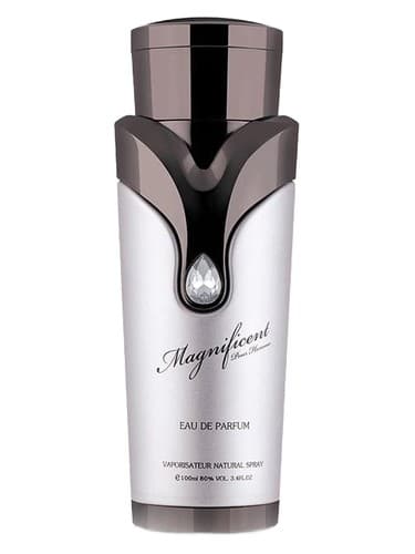 Magnificent Pour Homme - مگنیفیسنت پور هوم