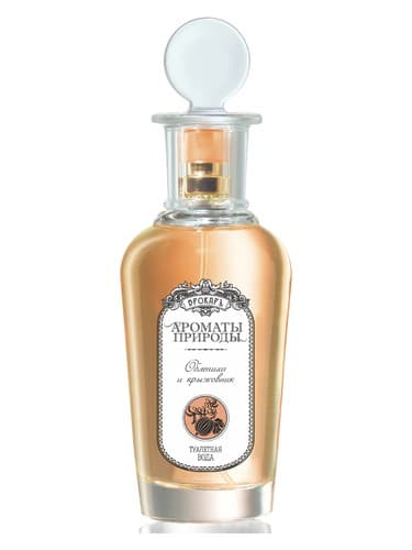 Облепиха и крыжовник - Sea buckthorn and Gooseberry - سی باکتورن اند گوزبری