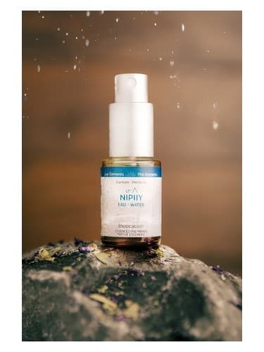 Water – Nipiiy  