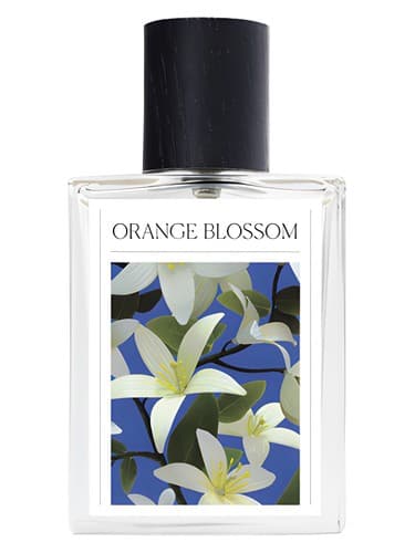 Orange Blossom - اورنج بلاسم