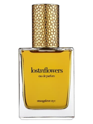 Lost In Flowers - لاست این فلاورز