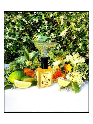 Gin Flower - گل جین