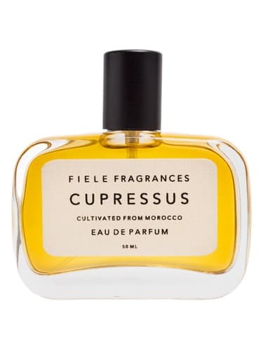 Cupressus - سپر