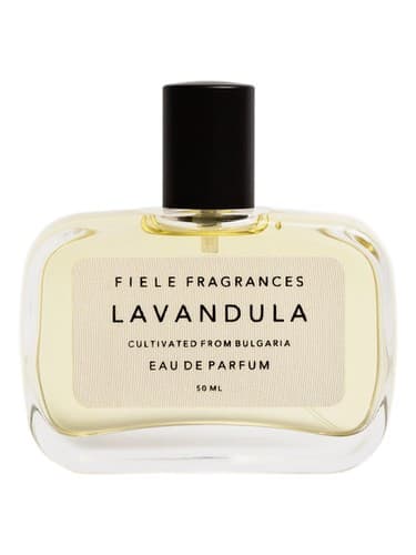 Lavandula - اسطوخودوس