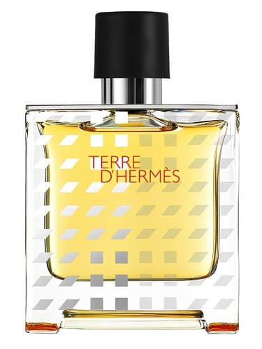 Terre d'Hermes Flacon H 2019 Parfum 