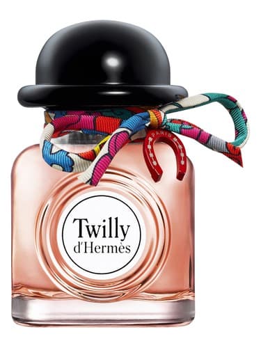 Charming Twilly d'Hermès - چارمینگ تویلی درمس