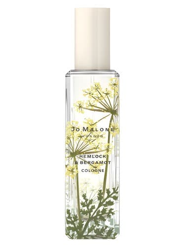 Hemlock & Bergamot - هملوک اند برگاموت
