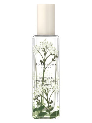 Nettle & Wild Achillea - نتل اند وایلد آکیلیا