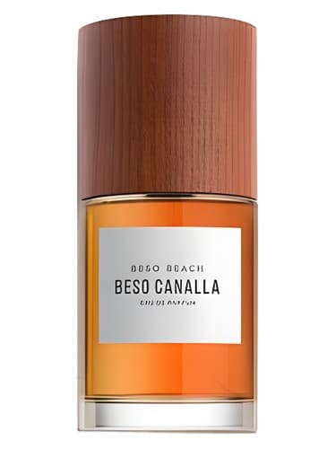 Beso Canalla - بسو کانایا