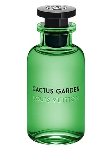 Cactus Garden - کاکتوس گاردن