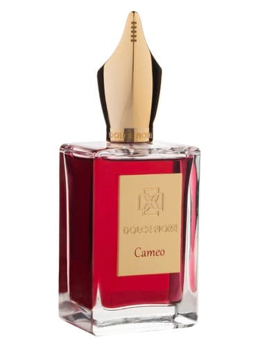 Cameo - کامئو