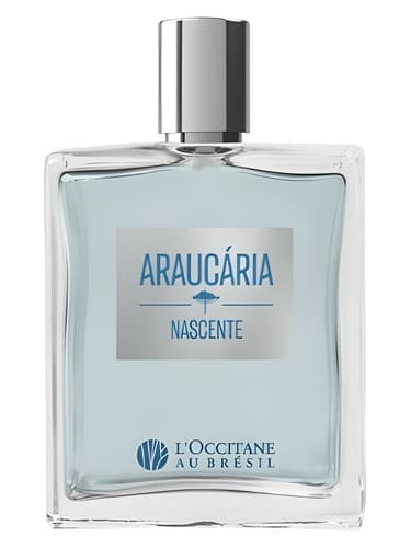 Araucária Nascente