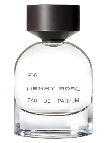 Fog - فاگ