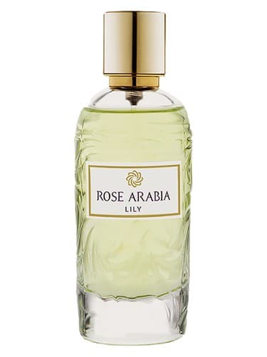 Rose Arabia Lily - رز عربستان لیلی