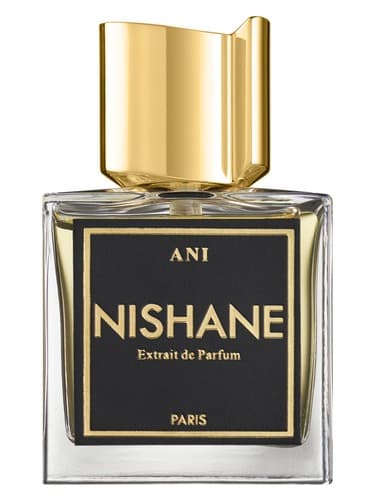 Ani - آنی