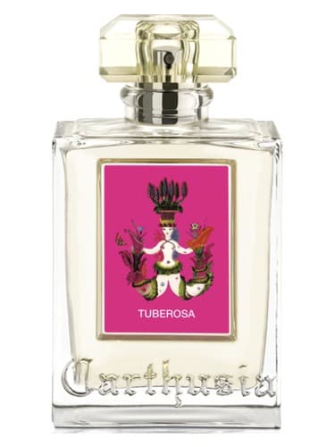 Tuberosa - توبروزا