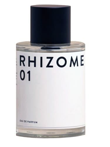 Rhizome 01 - ریزوم 01