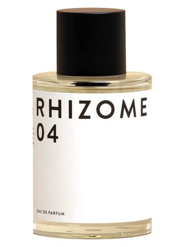 Rhizome 04 - ریزوم 04