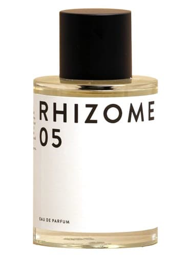 Rhizome 05 - ریزوم 05