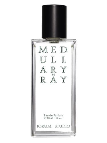 Medullary-ray - مدولاری-ری