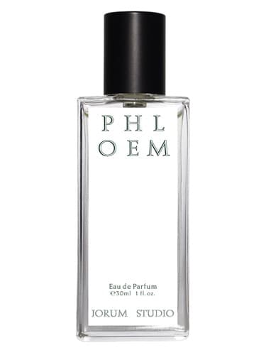 Phloem  - فلوئم