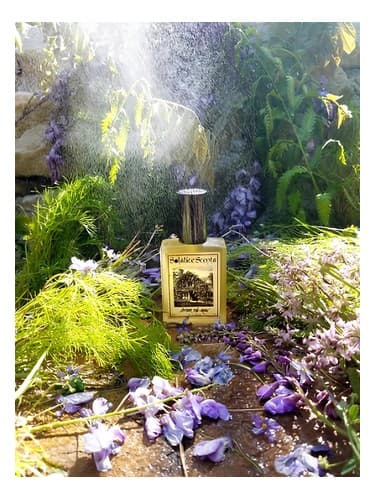After the Rain